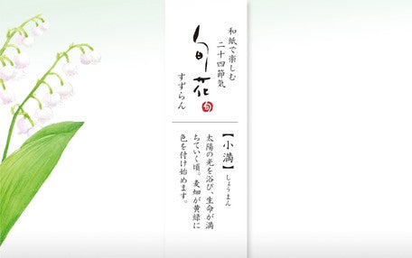 Furukawashiko Mino Japanese Paper - Lily of the Valley – journalpages