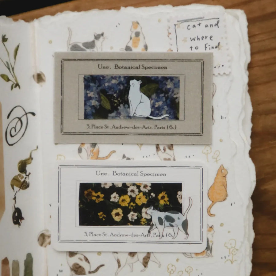 Modaizhi Meow Meow Meow Die-cut Pet Tape