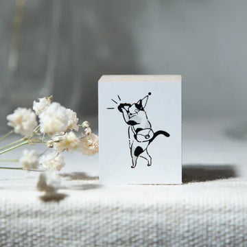 Modaizhi Cat Stamp - Camera Cat