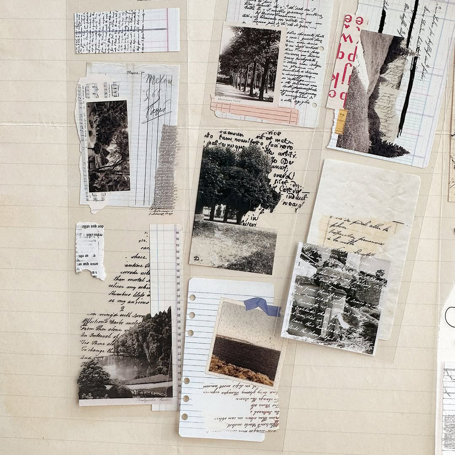 Asteroid B-610 Retro Song Glossy Pet Tape