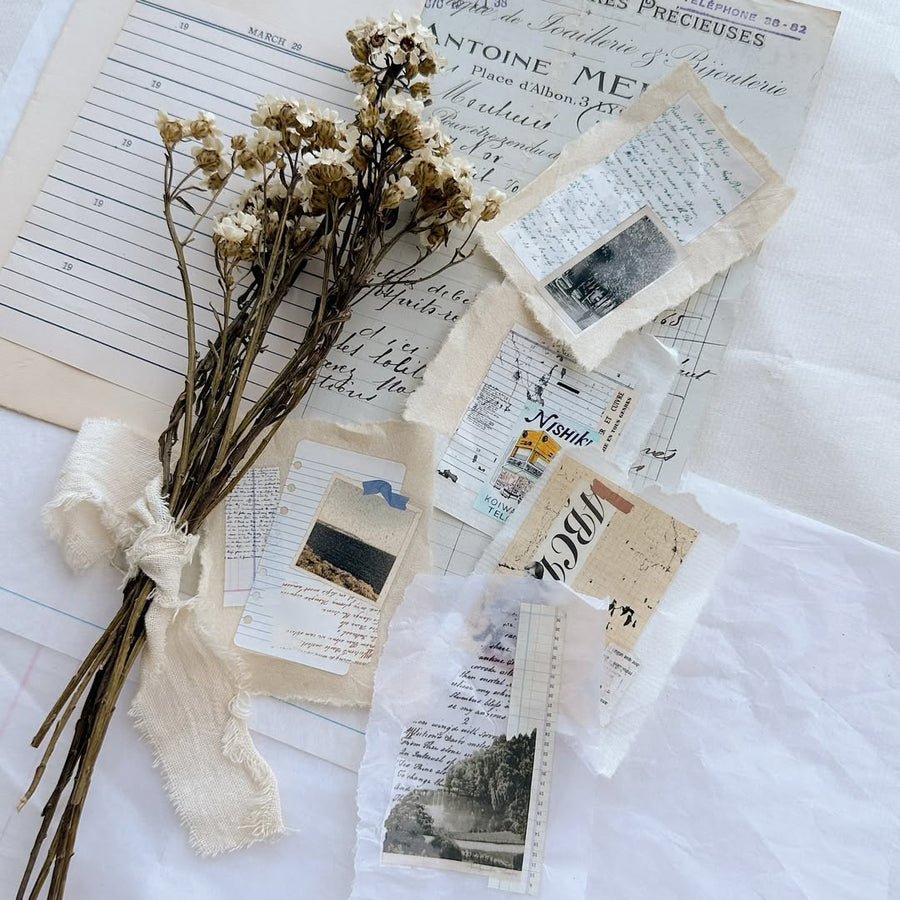 Asteroid B-610 Retro Song Glossy Pet Tape