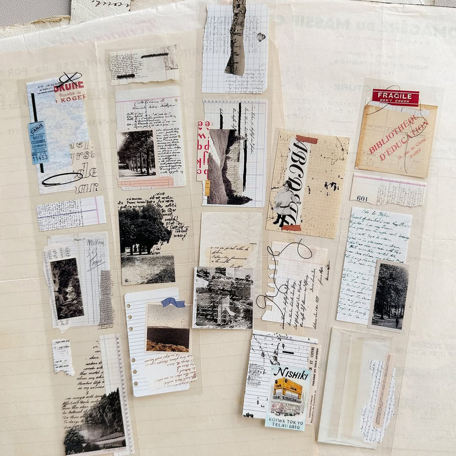 Asteroid B-610 Retro Song Glossy Pet Tape