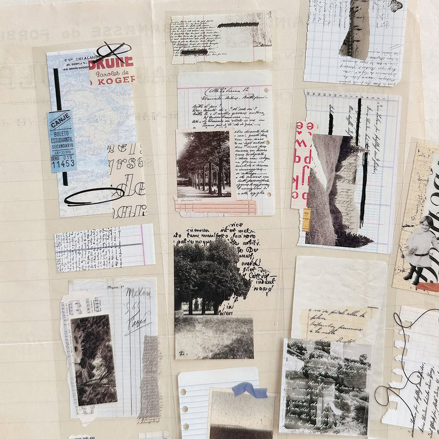 Asteroid B-610 Retro Song Glossy Pet Tape