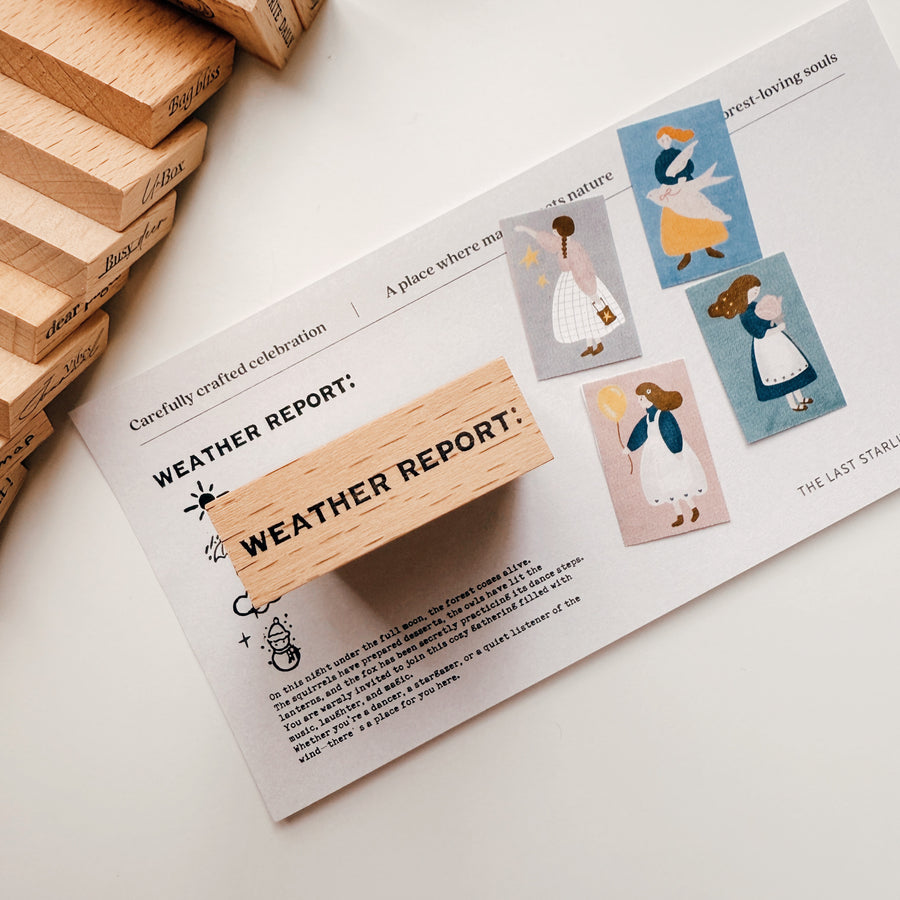 Journal Pages《weather report》words Rubber Stamps