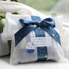 LCN 2026 Mini Tote Stationery Set — Ocean
