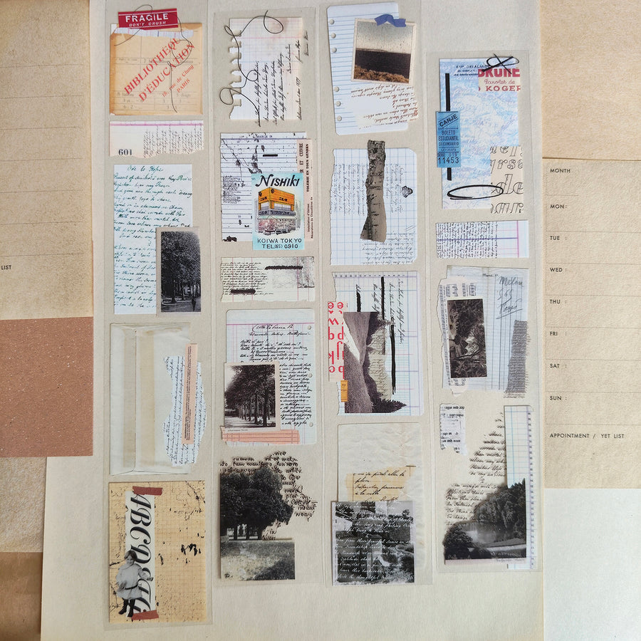 Asteroid B-610 Retro Song Glossy Pet Tape