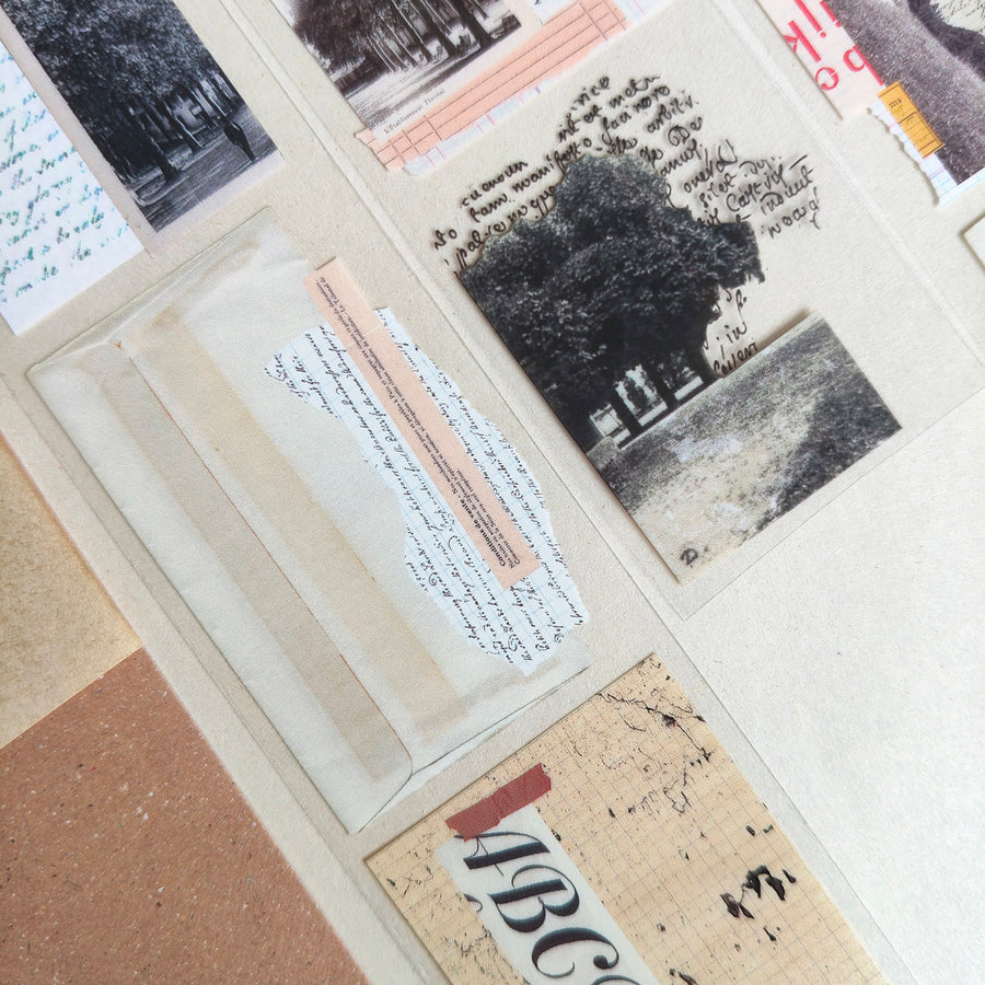 Asteroid B-610 Retro Song Glossy Pet Tape