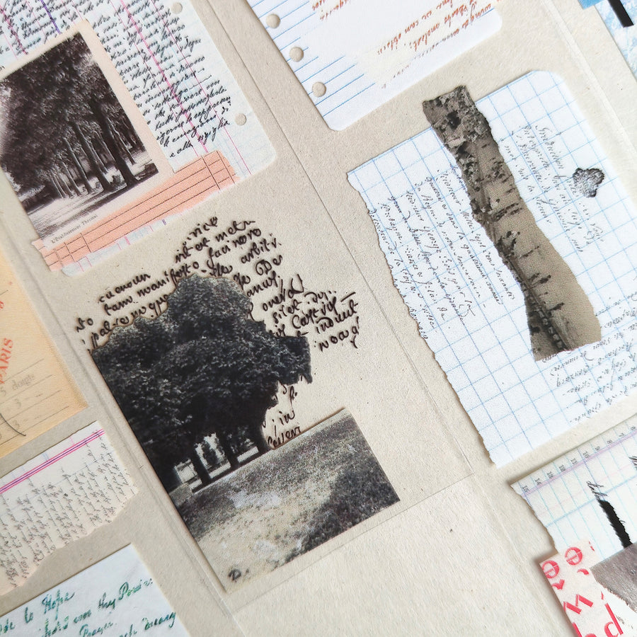 Asteroid B-610 Retro Song Glossy Pet Tape