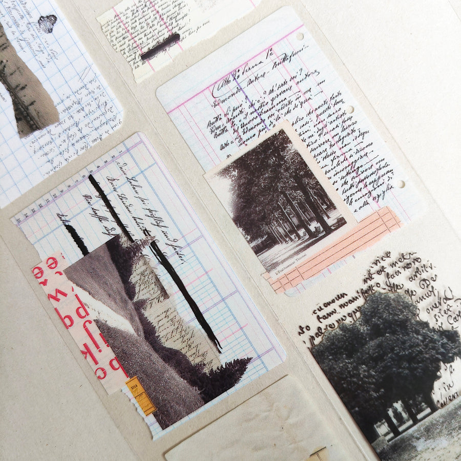 Asteroid B-610 Retro Song Glossy Pet Tape