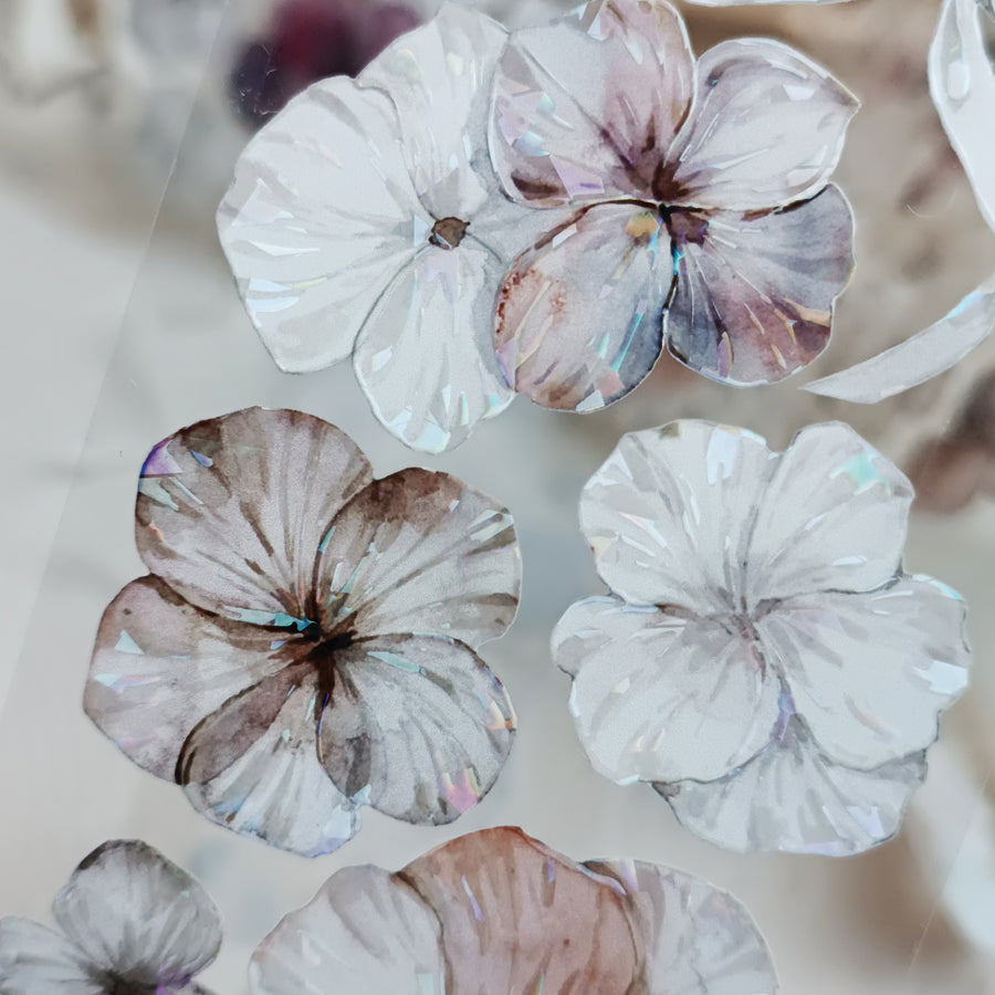 T.G “Velvet Bloom” pet tape