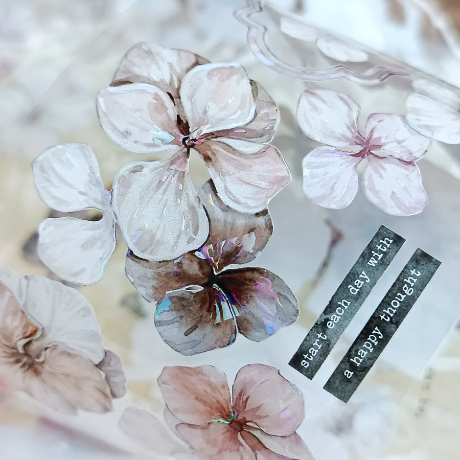 T.G “Velvet Bloom” pet tape