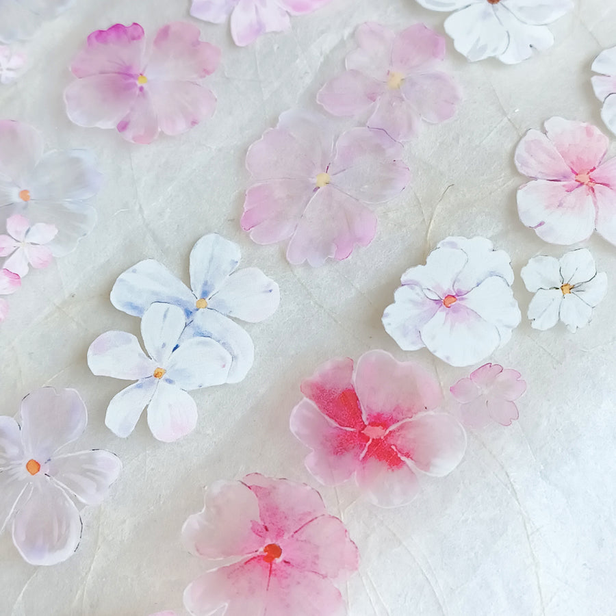 T.G “Floral Cascade” crystal/ shell shine pet tape