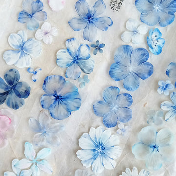T.G “Blue Bloom” Crystal/ shell shine crystal pet tape