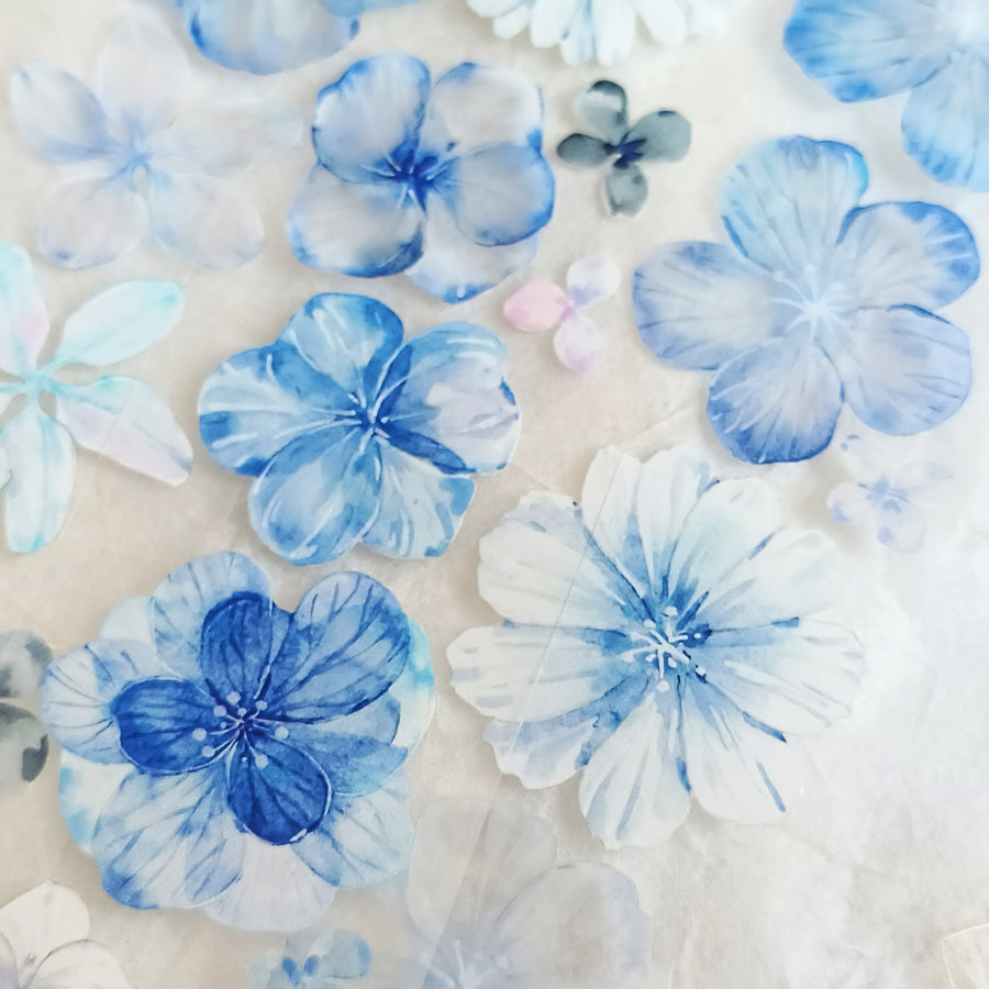 T.G “Blue Bloom” Crystal/ shell shine crystal pet tape