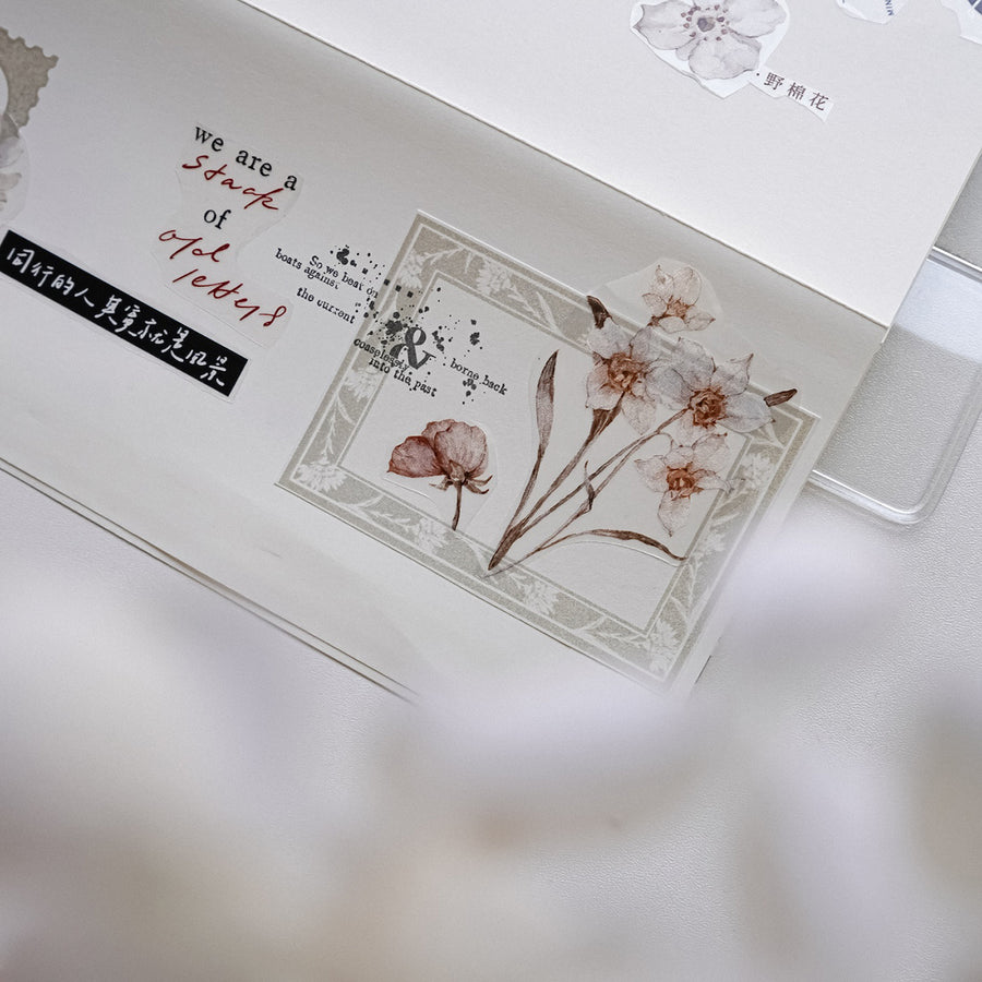 Jennyuanzi Typography Foundation Collection rubber stamps