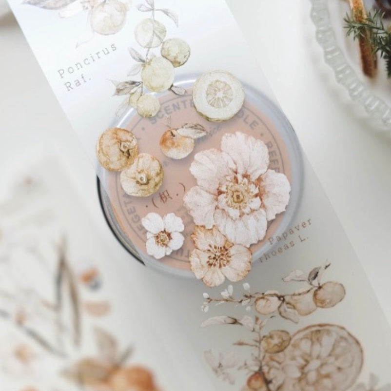 Freckles Tea Vol.3 Citrus washi tape & pet tape – journalpages