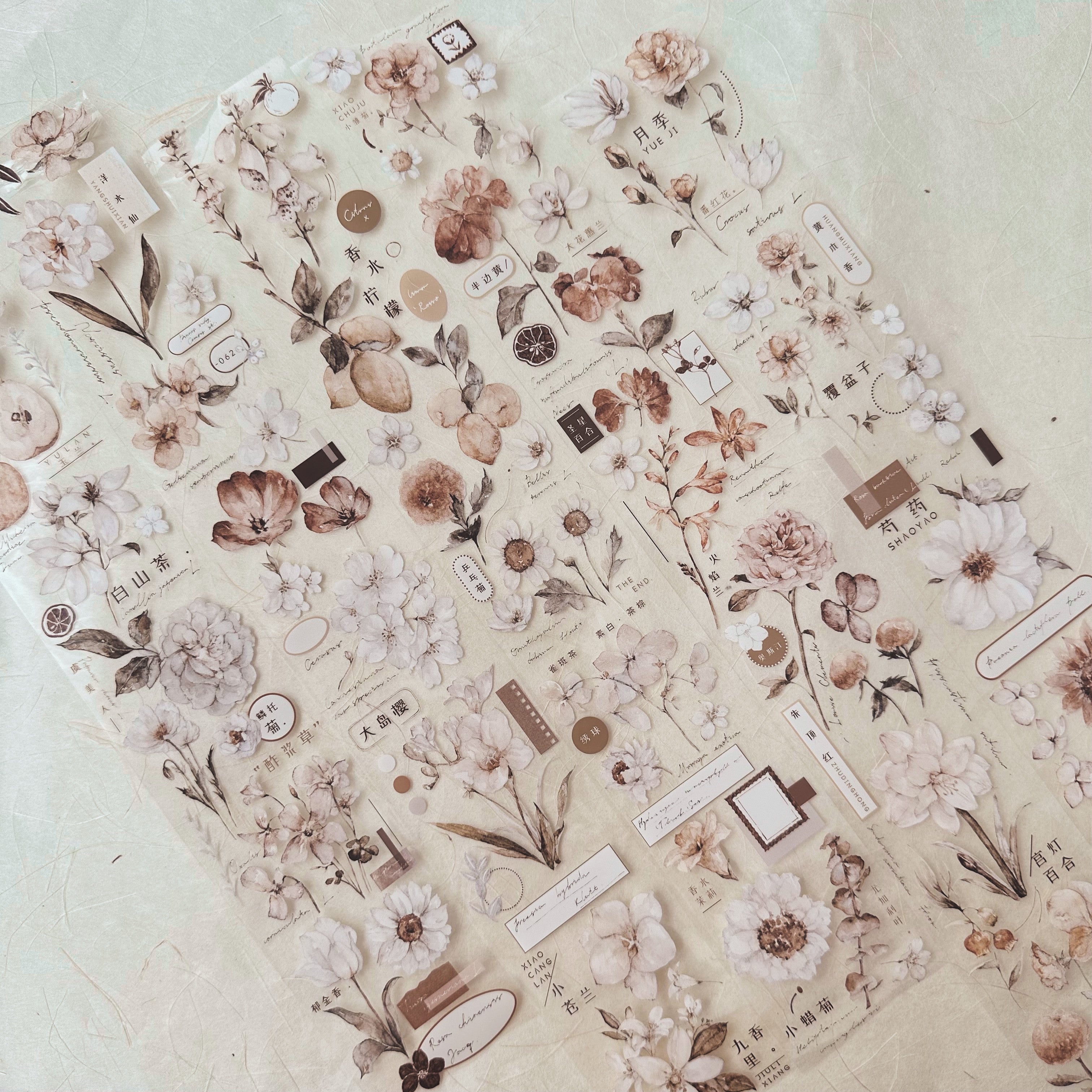 Freckles Tea 雀班茶 vol.3 PETテープ 6個セット 特典付き Freckles Tea 雀班茶 vol.3 PETテープ 6個セット 特典付き