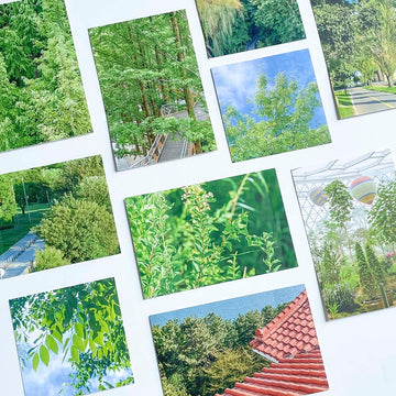 Mingkit Sticker Pack - Forest