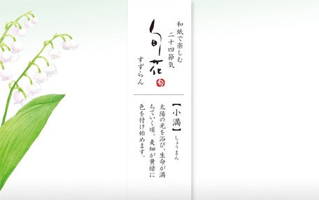 Furukawashiko Mino Japanese Paper - Lily of the Valley