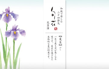Furukawashiko Mino Japanese Paper - Iris Flower