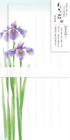 Furukawashiko Flower Letter set one-stroke papers - Iris Flower