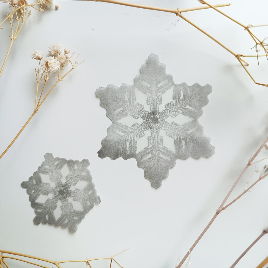 Sticky Leaf Memo Notes - Tracing Snow flower