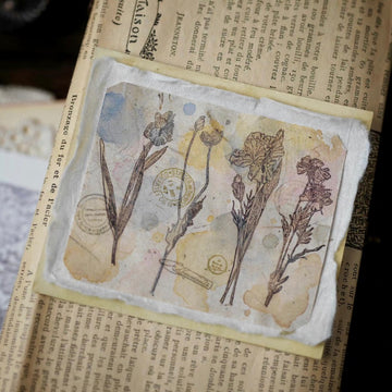 BC studio flower illustration rubber stamp set (set of 6)