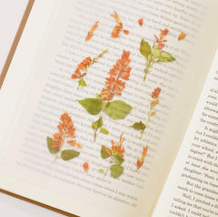 Appree Press Salvia sticker