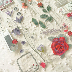 Baicangjia studio shiliuqun pet tape