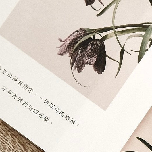 Yiyuflorist Sumikkogurashi Flower Plant withering calendar 2023