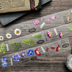 Miao Stelle spring overture pet tape
