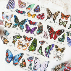 Baicangjia studio butterflies collection pet tape